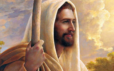 Se maravillaban ante el amor