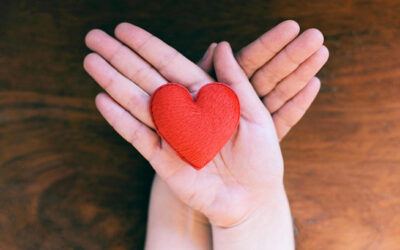 Todo lo que tenía para vivir