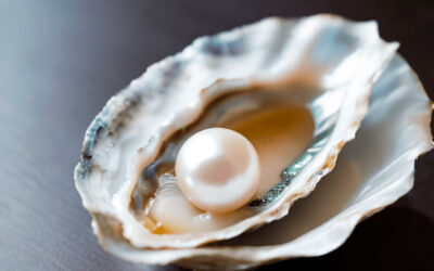 El Reino de los cielos se parece a un tesoro escondido