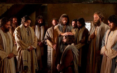 En busca de ovejas perdidas