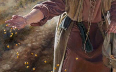 Quien escucha la Palabra y la comprende produce fruto