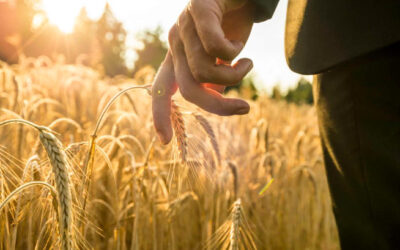 Misericordia quiero y no sacrificios