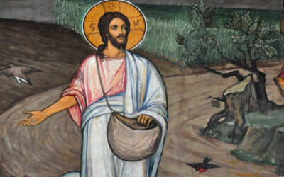 Que crezcan juntos hasta el tiempo de la cosecha