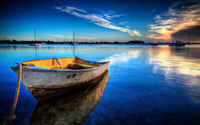 ¿Por qué tienen miedo…?