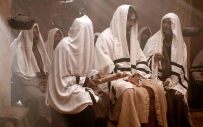 Un profeta no es despreciado más que en su patria y en su casa