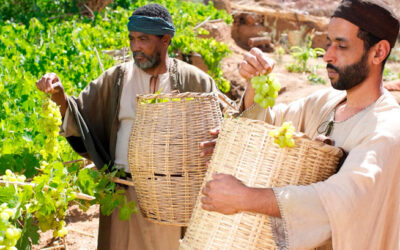 Los últimos serán los primeros y los primeros los últimos
