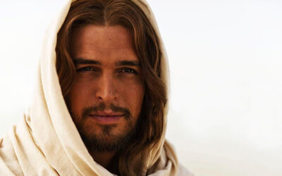 En Cristo, sólo en Él, es posible encontrar la paz verdadera