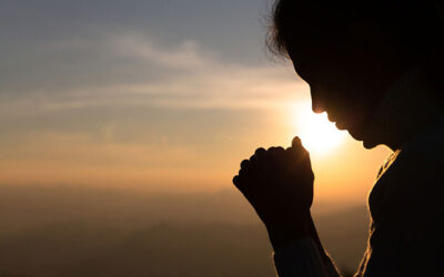 No somos más que siervos