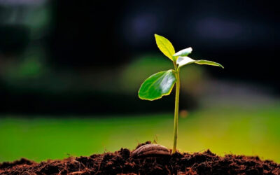 ¿Con qué podríamos comparar el Reino de Dios?