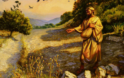 Una vez salió un sembrador a sembrar