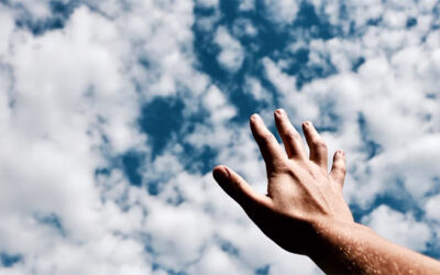 Hacer la voluntad de Dios