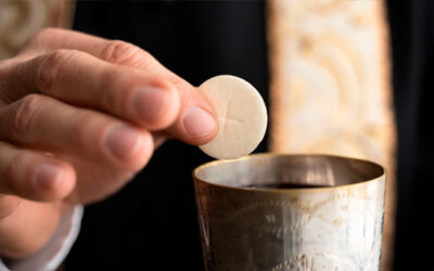 Mi carne es verdadera comida y mi Sangre es verdadera bebida