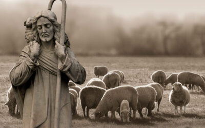 Yo soy la puerta de las ovejas