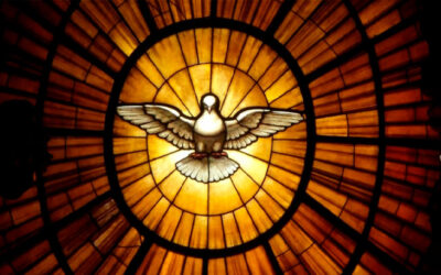 El Espíritu de verdad los irá guiando