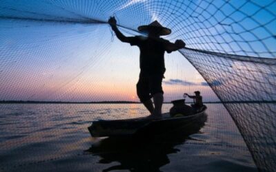 Echad las redes para pescar