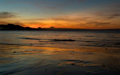 ¿Aún no tienen fe?