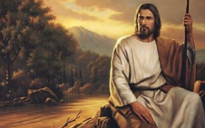 ¿Todavía no acaban de comprender?