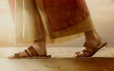 Mis ovejas escuchan mi voz