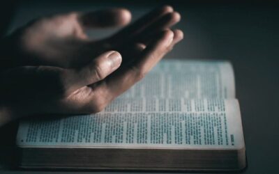 No pierdan la paz ni se acobarden