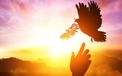 El Espíritu Santo ha sido infundido en nuestros corazones