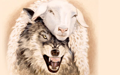 Cuidado con los falsos profetas