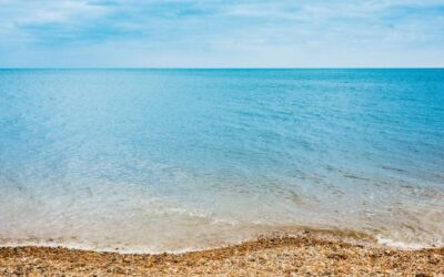 Hasta los vientos y el mar le obedecen