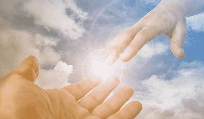 Hasta los cabellos de su cabeza están contados