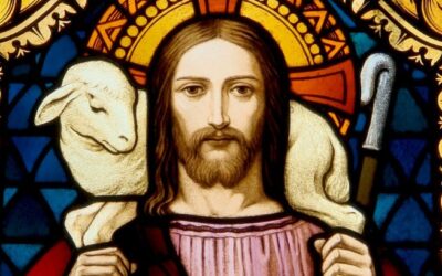 Mi yugo es suave y mi carga, ligera