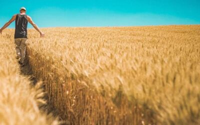 Al final el mal será eliminado