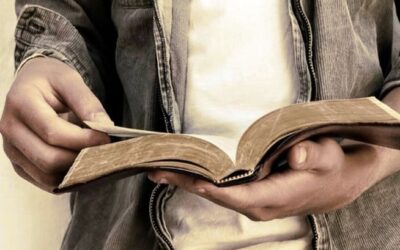 ¿Qué quiere mi Señor?