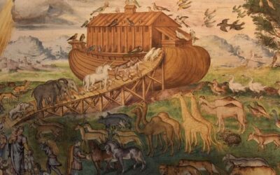 En el barco de la salvación