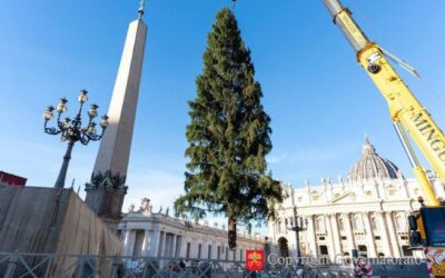 15 de diciembre: inauguración del pesebre y árbol en la Plaza de San Pedro