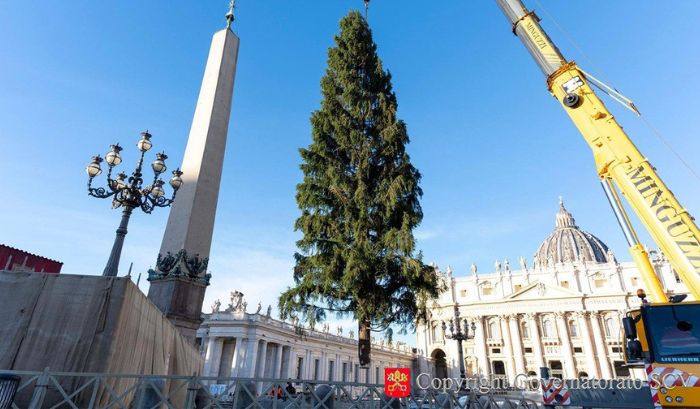 15 de diciembre: inauguración del pesebre y árbol en la Plaza de San Pedro