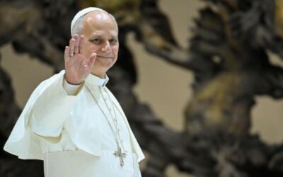 Jornada Mundial de la Paz. León XIV: queridos hermanos y hermanas, ¡abrámonos a la paz!