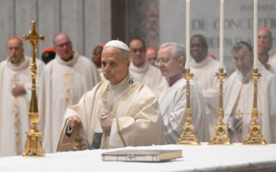 León XIV recuerda a los cardenales que la responsabilidad que comparten con él es «grave y onerosa»